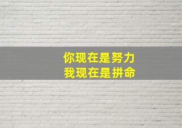 你现在是努力 我现在是拼命